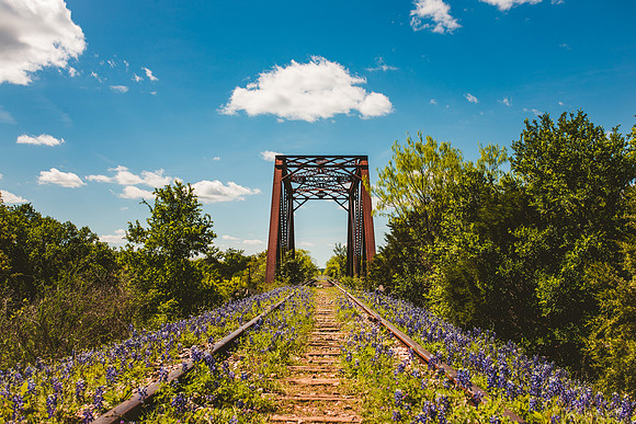 Bluebonnet Bridge Sharper-1