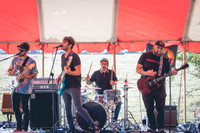 ALR FEST-6546