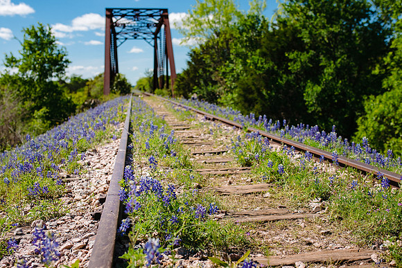 Bluebonnet Bridge Skewed