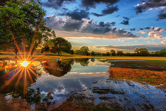 Zilker After Storm