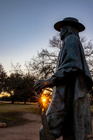 SRV Sunflare