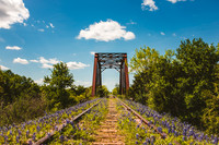 Bluebonnet Bridge-1