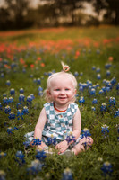 Elly Bluebonnets 2024